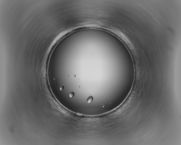 X0000113151240200909041226