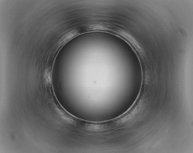 X0000113151241200909041226