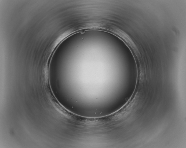 X0000113151242200909041226