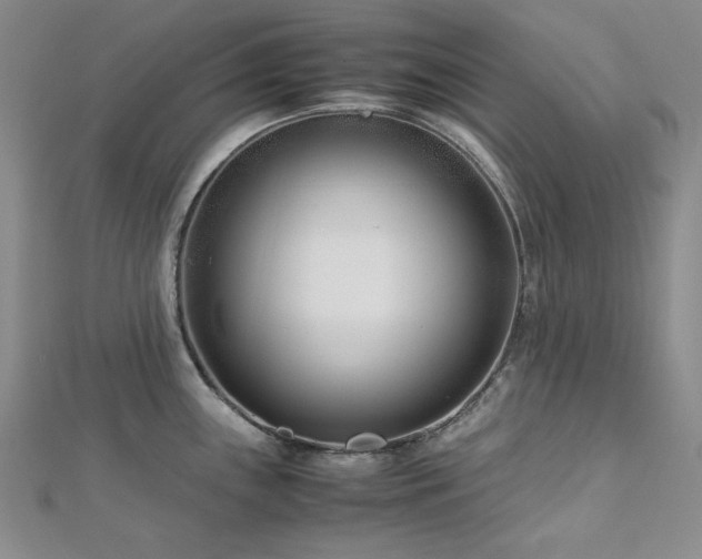 X0000113151243200909041226