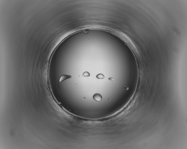 X0000113151244200909041226