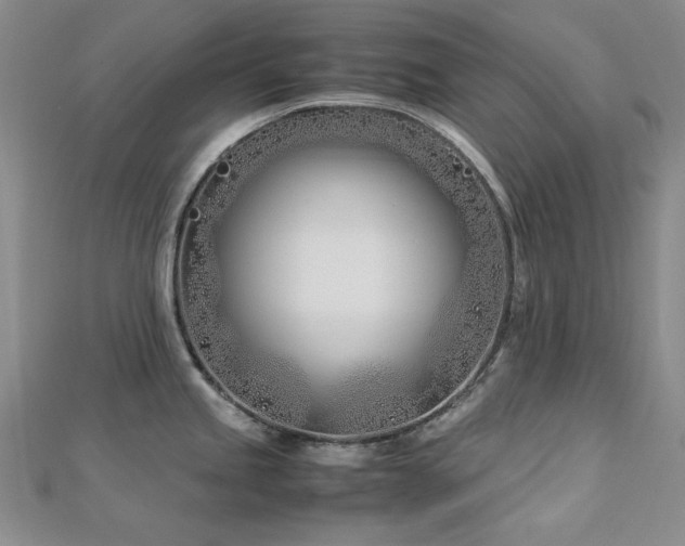 X0000113151245200909041226