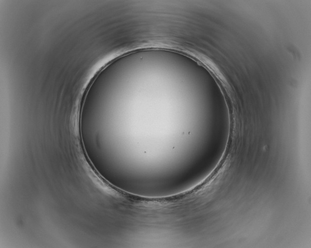 X0000113151246200909041226