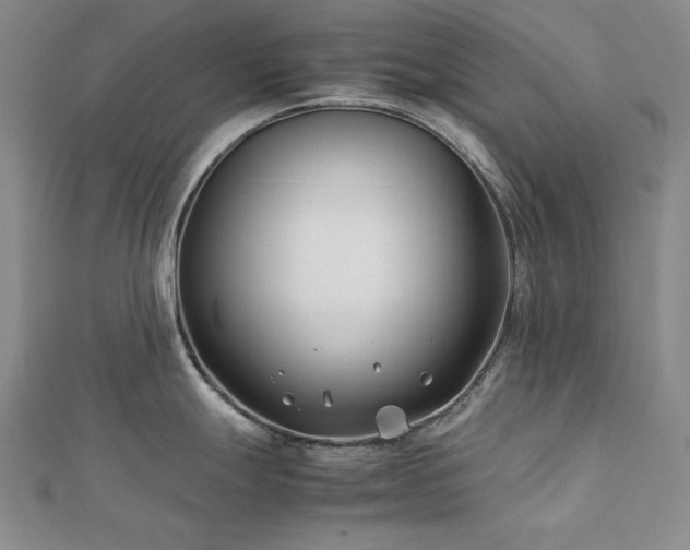 X0000113151247200909041226