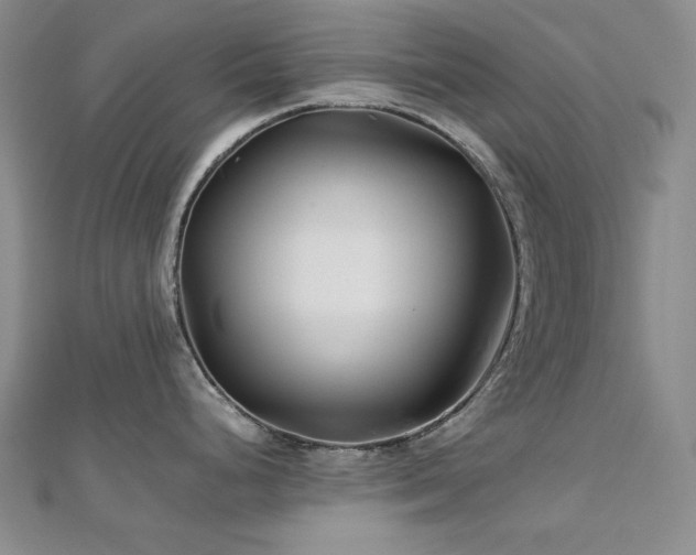 X0000113151248200909041226