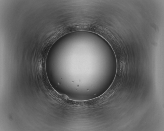 X0000113151250200909041225