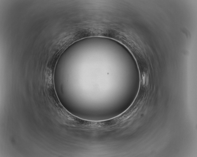 X0000113151251200909041225