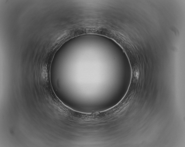 X0000113151252200909041225