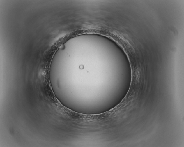 X0000113151254200909041225