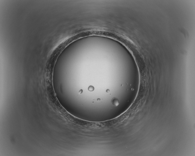 X0000113151255200909041225