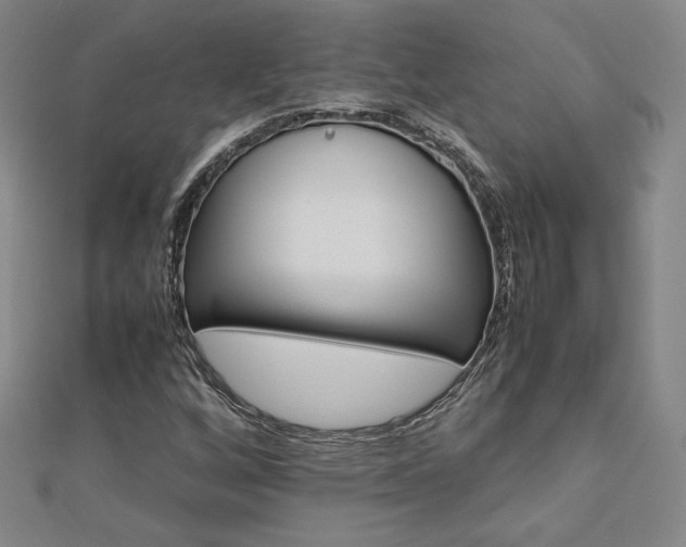 X0000113151256200909041225