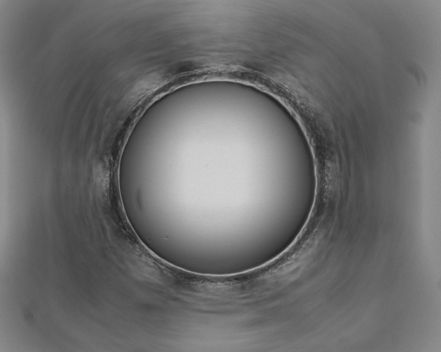 X0000113151257200909041225