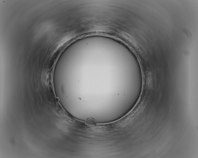 X0000113151258200909041225