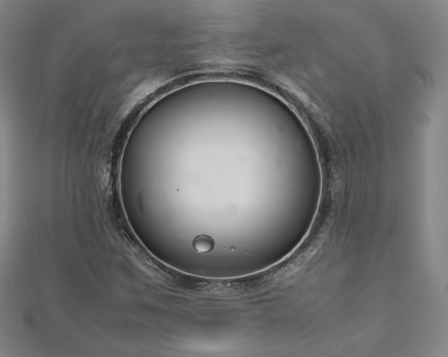 X0000113151259200909041225