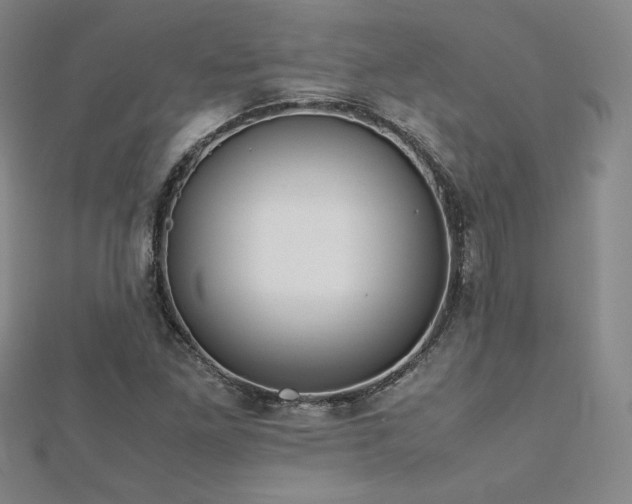 X0000113151261200909041225