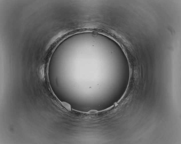 X0000113151262200909041225