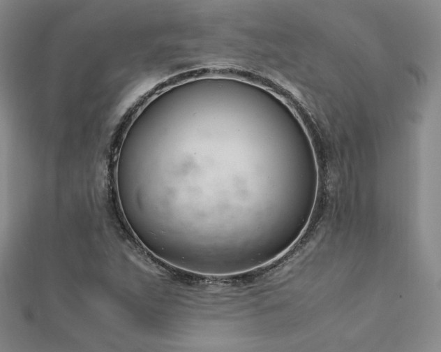 X0000113151263200909041225