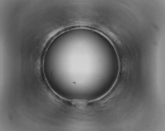 X0000113151264200909041225