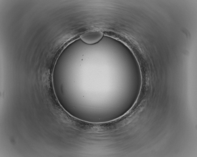 X0000113151265200909041225