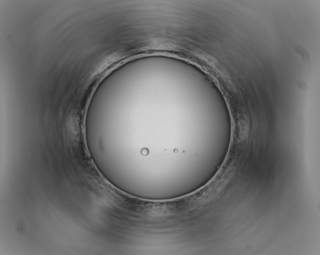 X0000113151266200909041225