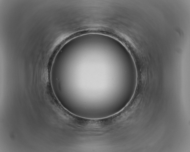 X0000113151267200909041225