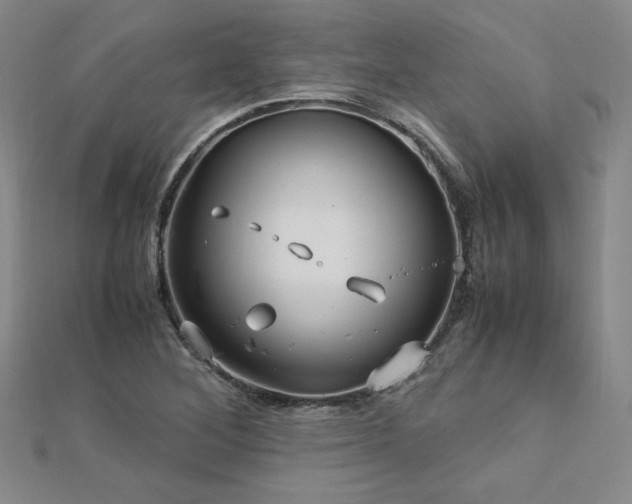 X0000113151268200909041225