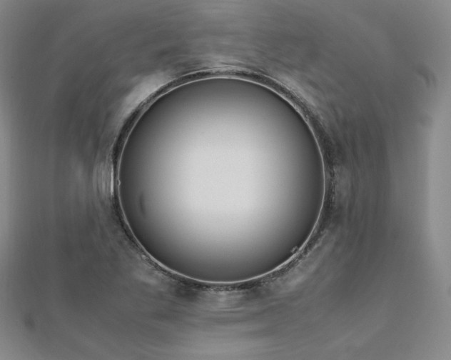 X0000113151269200909041225