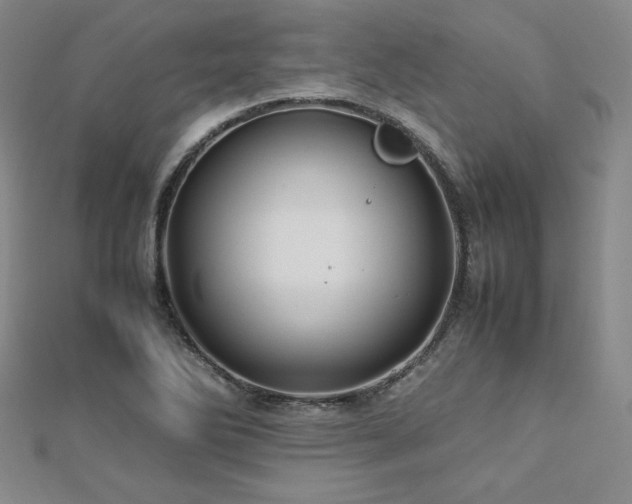 X0000113151270200909041225