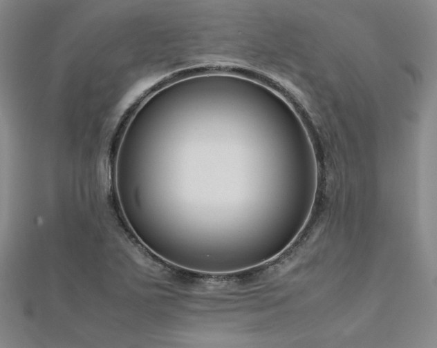 X0000113151271200909041225