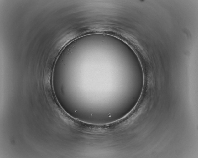 X0000113151273200909041225