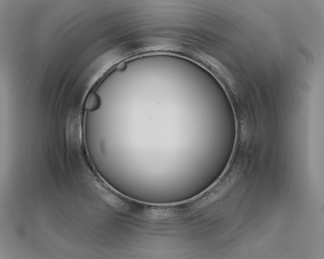 X0000113151274200909041225