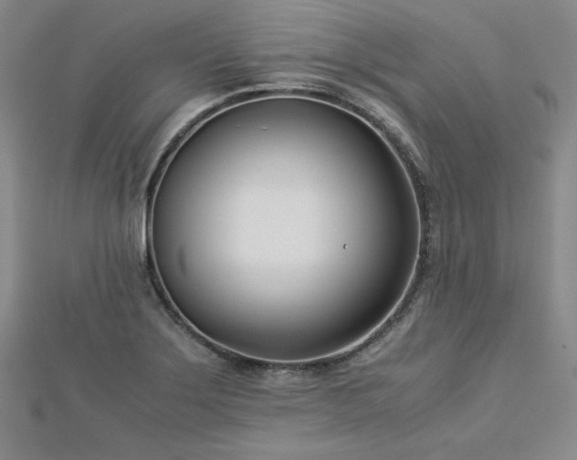 X0000113151275200909041225