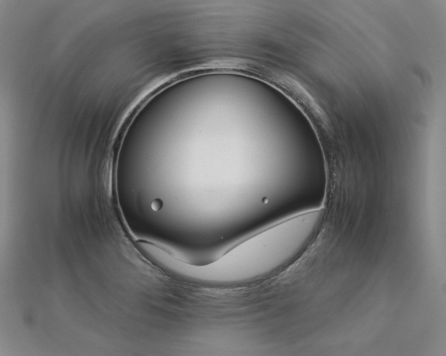 X0000113151276200909041225