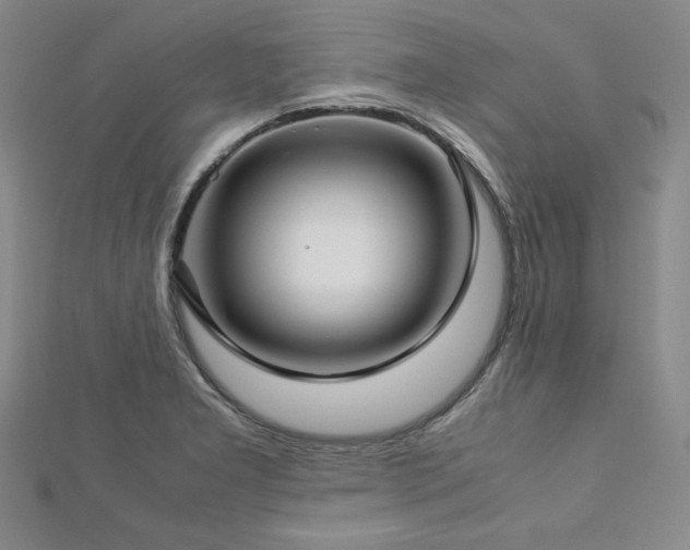 X0000113151277200909041225