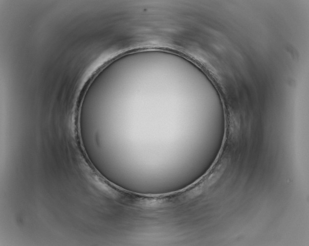 X0000113151278200909041225