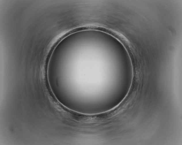 X0000113151279200909041225