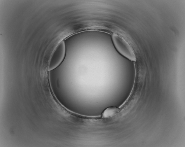 X0000113151281200909041225