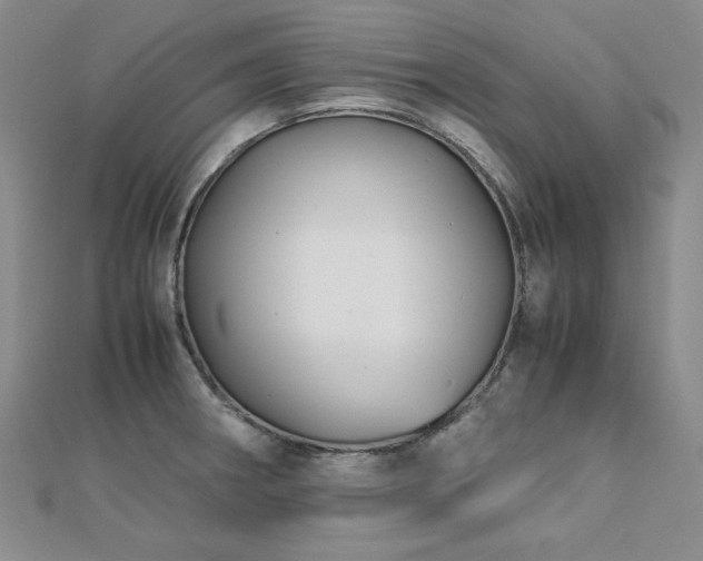 X0000113151282200909041225