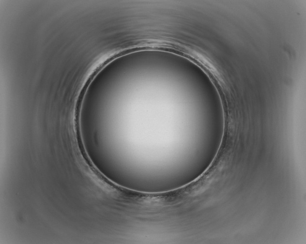 X0000113151283200909041225