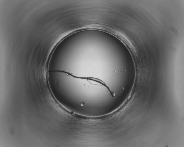 X0000113151284200909041225