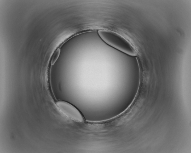 X0000113151285200909041225