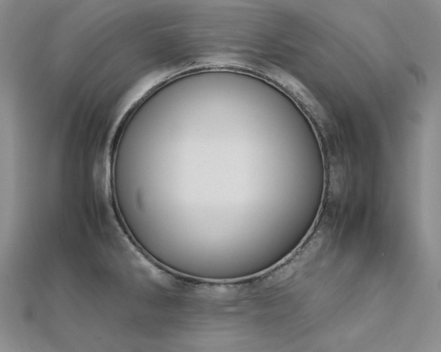 X0000113151286200909041225