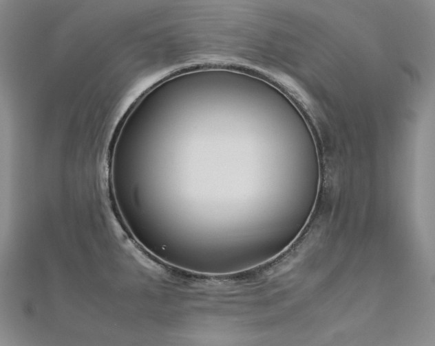 X0000113151287200909041225