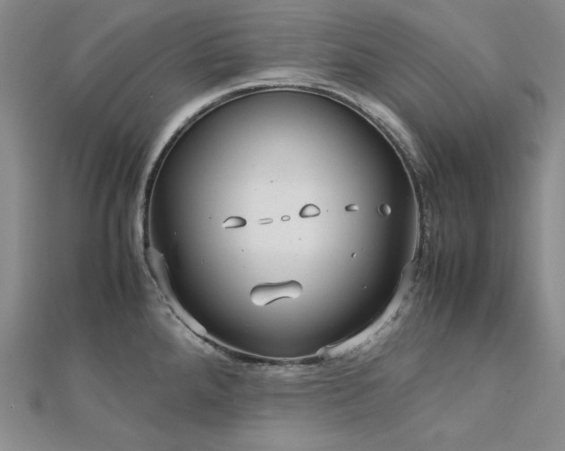 X0000113151288200909041225