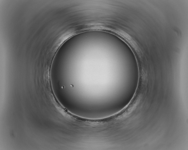 X0000113151289200909041225