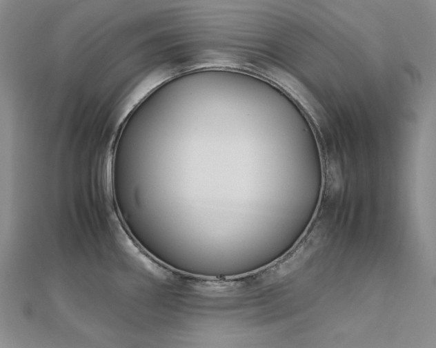 X0000113151290200909041225