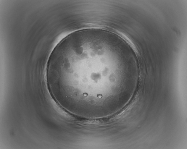 X0000113151291200909041225