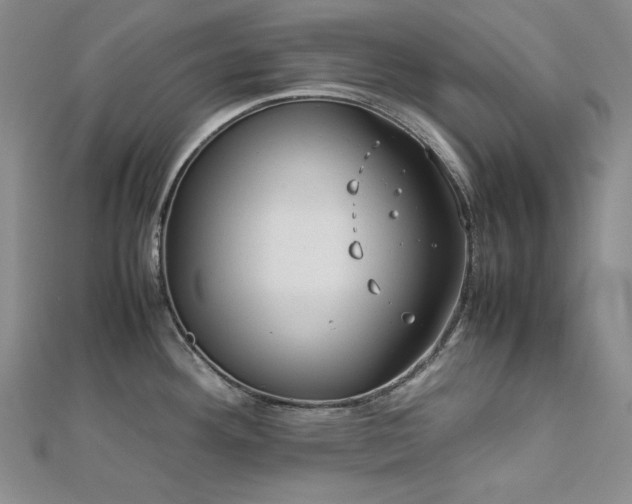 X0000113151292200909041225