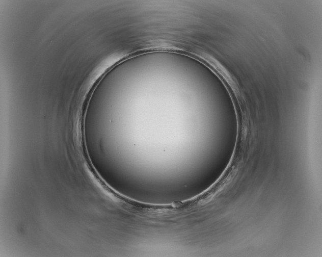 X0000113151293200909041225