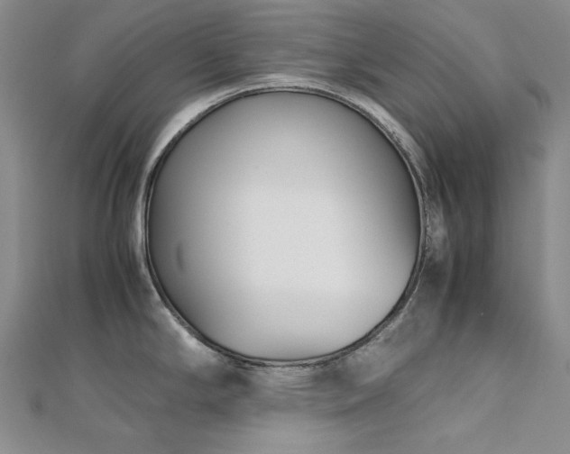 X0000113151294200909041225